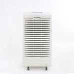 صنعتی ڈرمومائزیشن